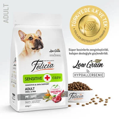 HypoAllergenic Small Mini Kuzulu Küçük Irk Düşük Tahıllı Yetişkin Köpek Maması 6 Kg
