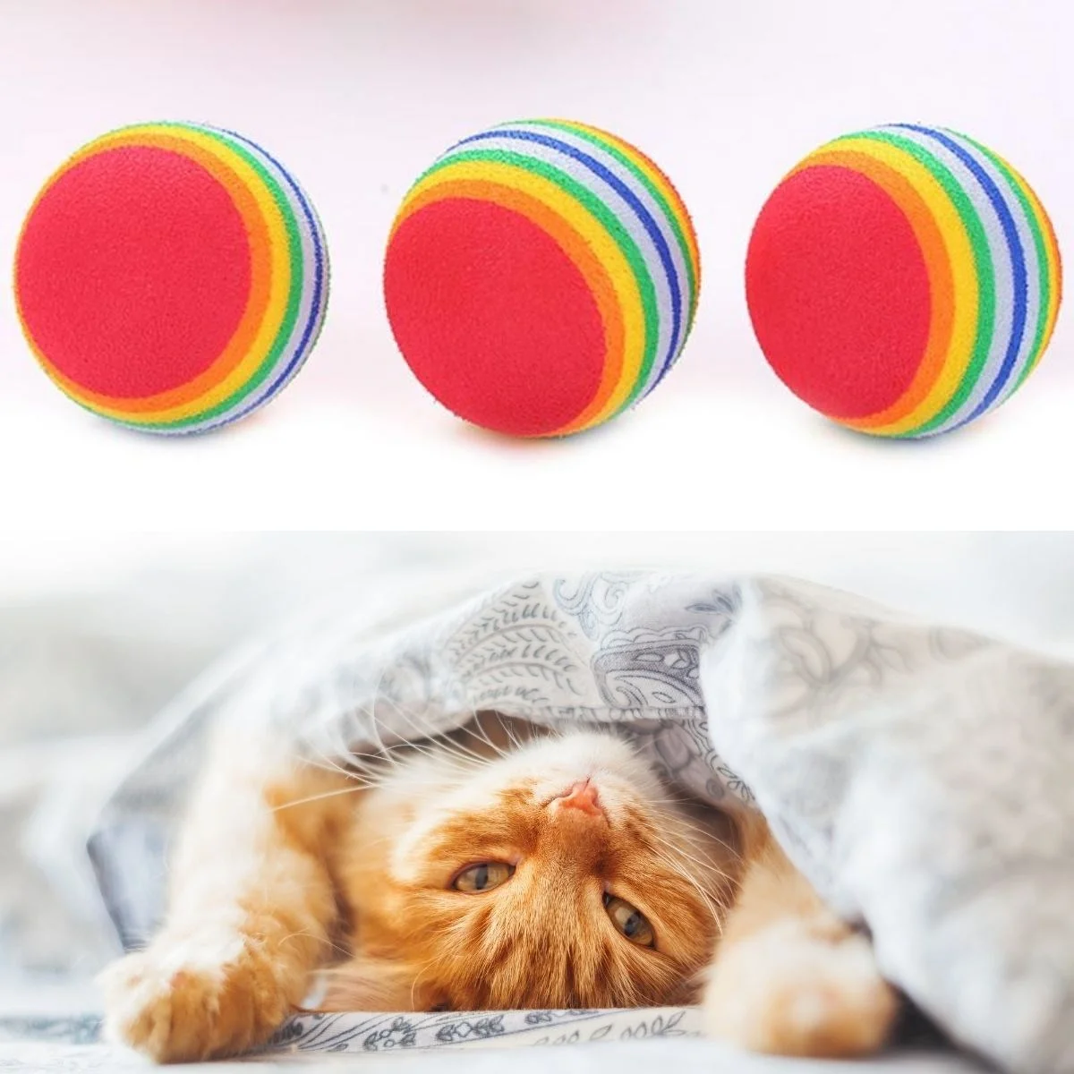 3lü Gökkuşağı Sünger Kedi Köpek Çiğneme Oyun Topu 4,2 cm görsel 5