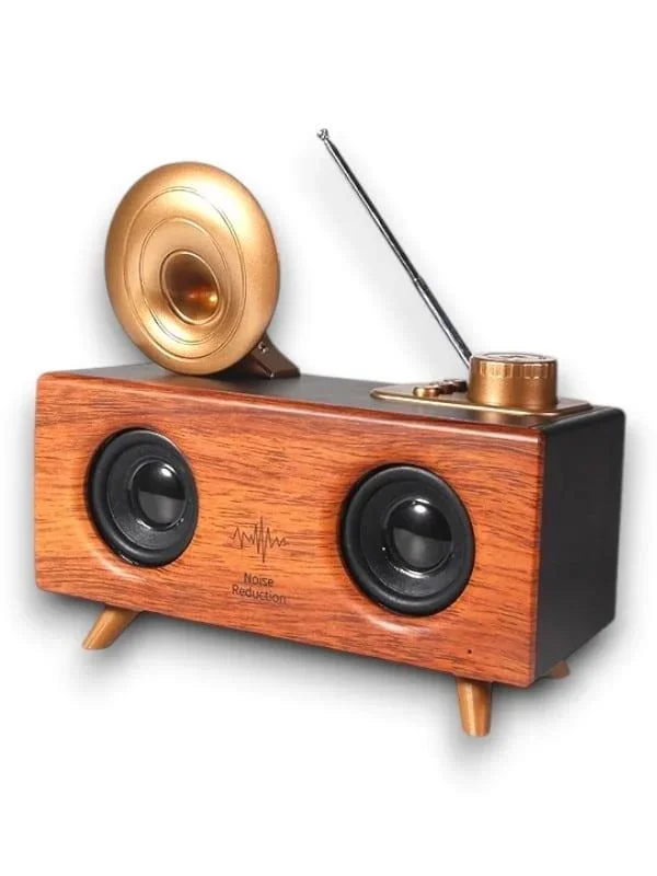 B6 Speaker Hoparlör görsel 5