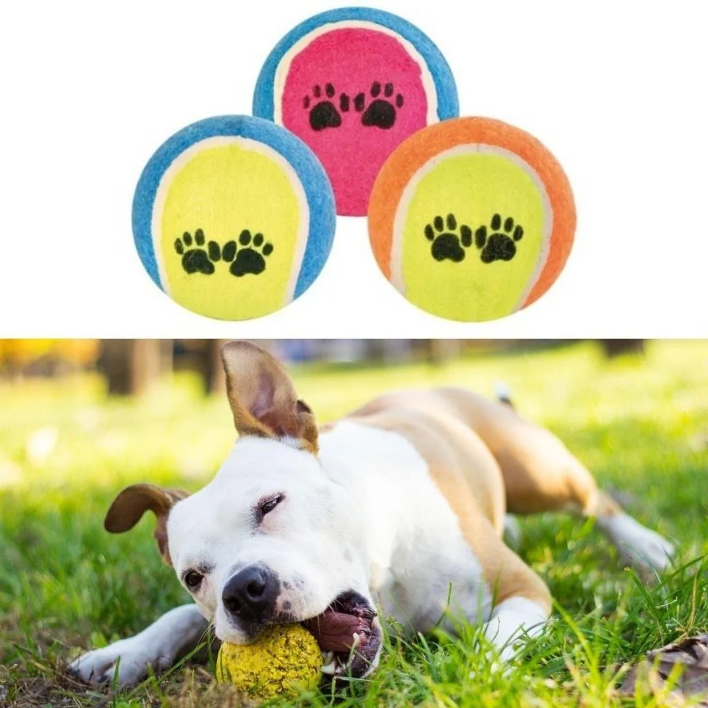 3lü Renkli Desenli Tenis Topu Kedi Köpek Oyuncağı (adet fiyatıdır) görsel 2