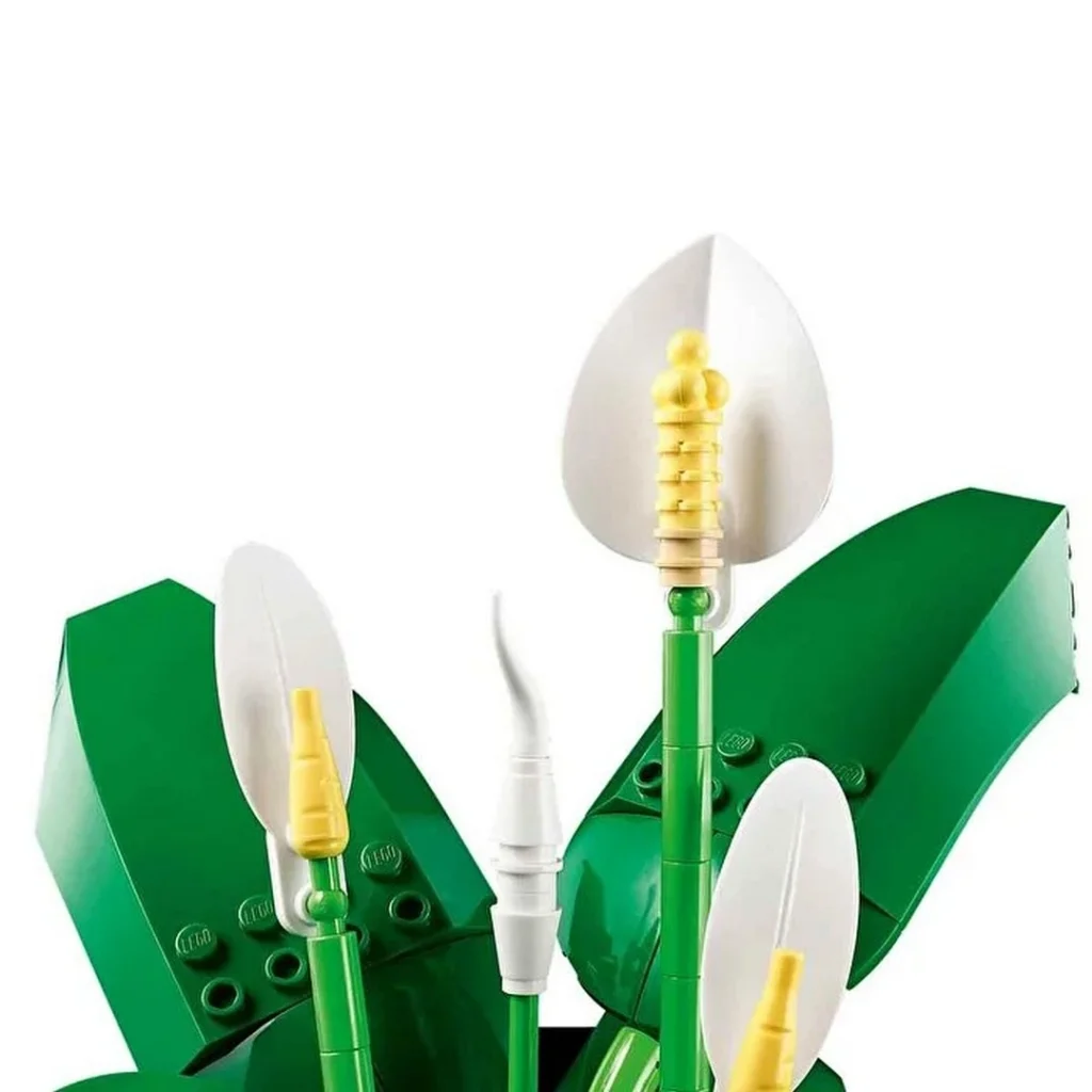 Barış Çiçeği 11504 görsel 3
