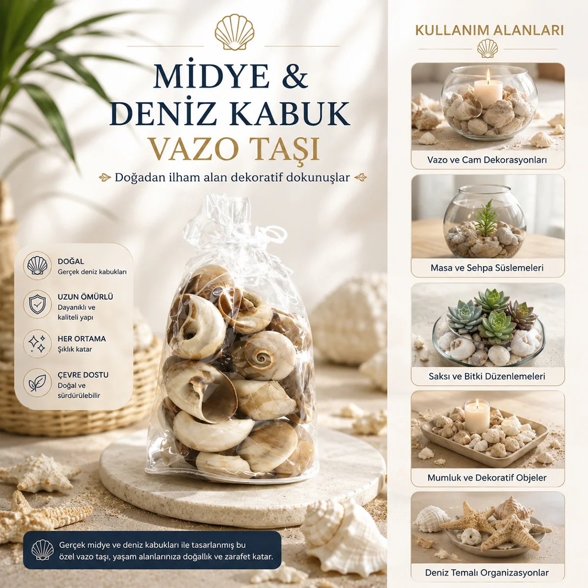Midye ve Deniz Kabuk Vazo Taşları görsel 5