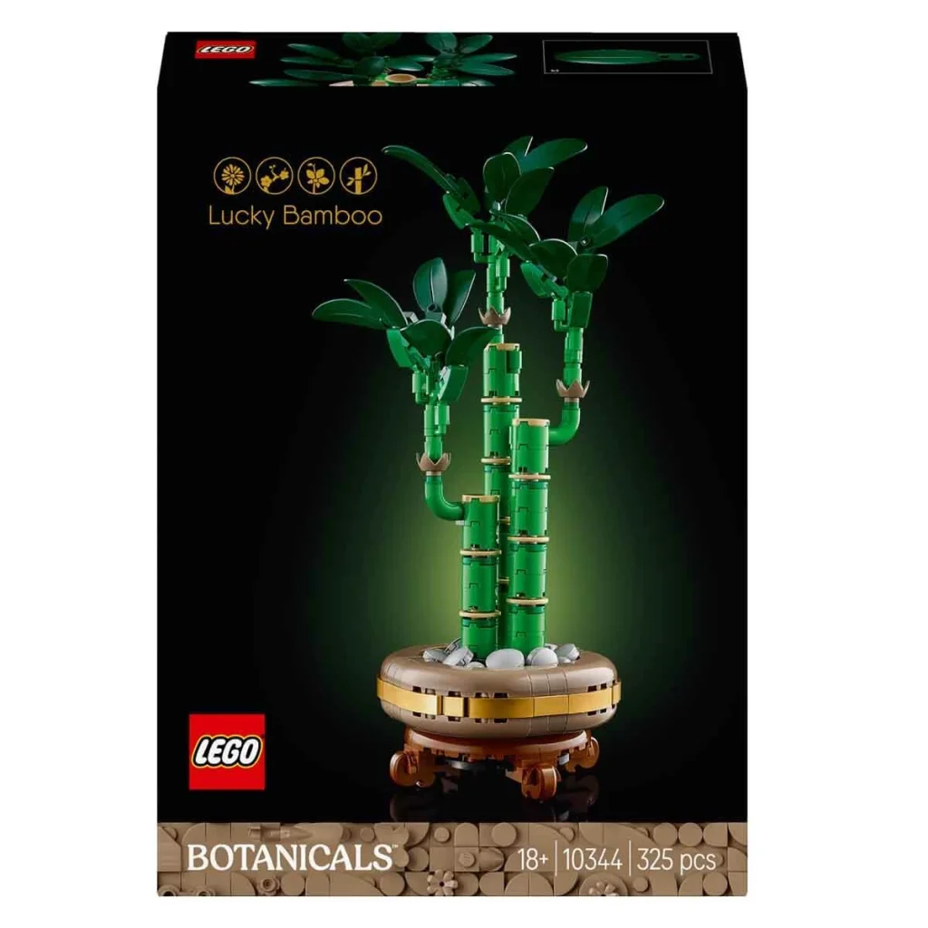 Botanicals Şans Bambusu 10344 görsel 3