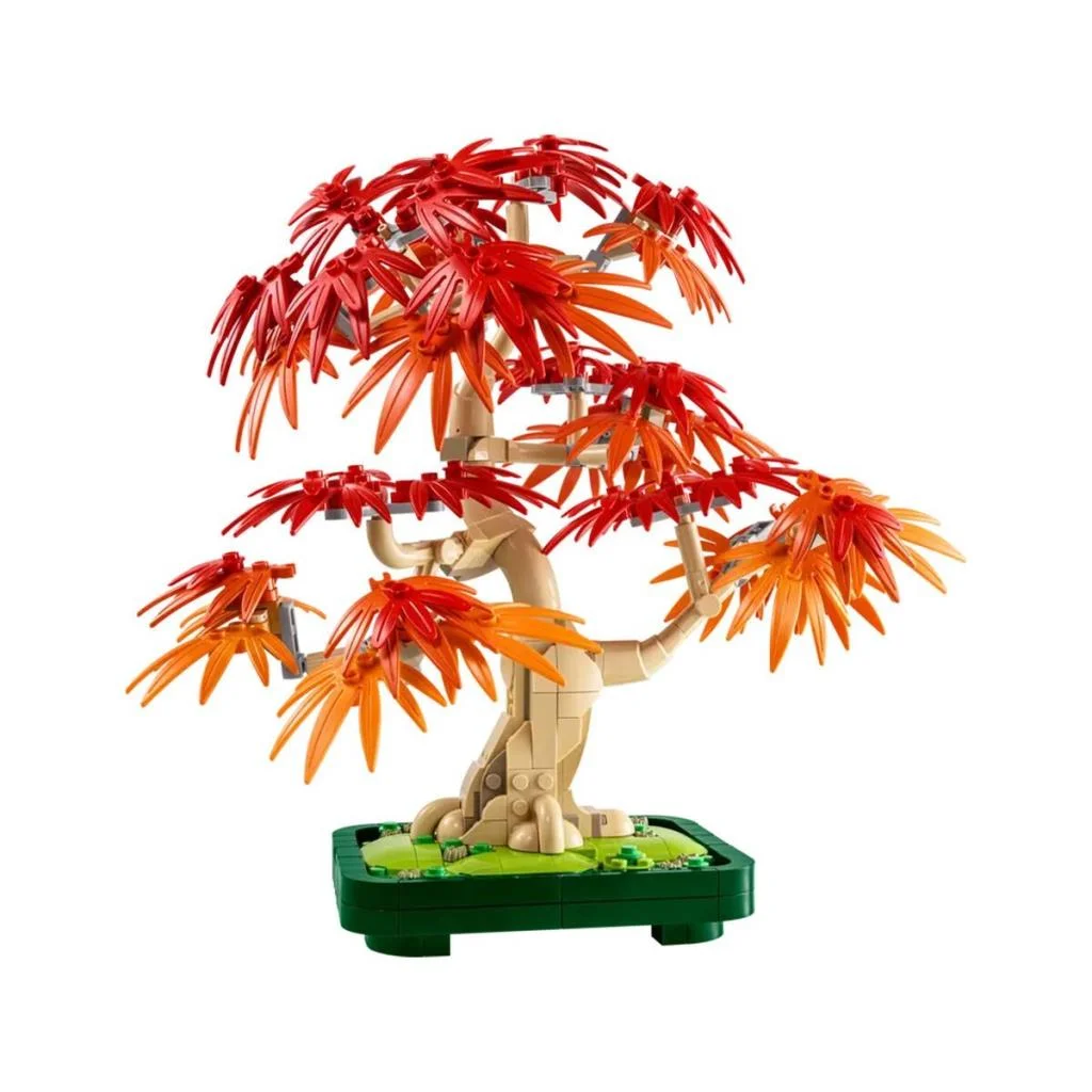 10348 iconic Japon Akçaağaç Bonsai Ağacı 474 parça +18 yaş görsel 3