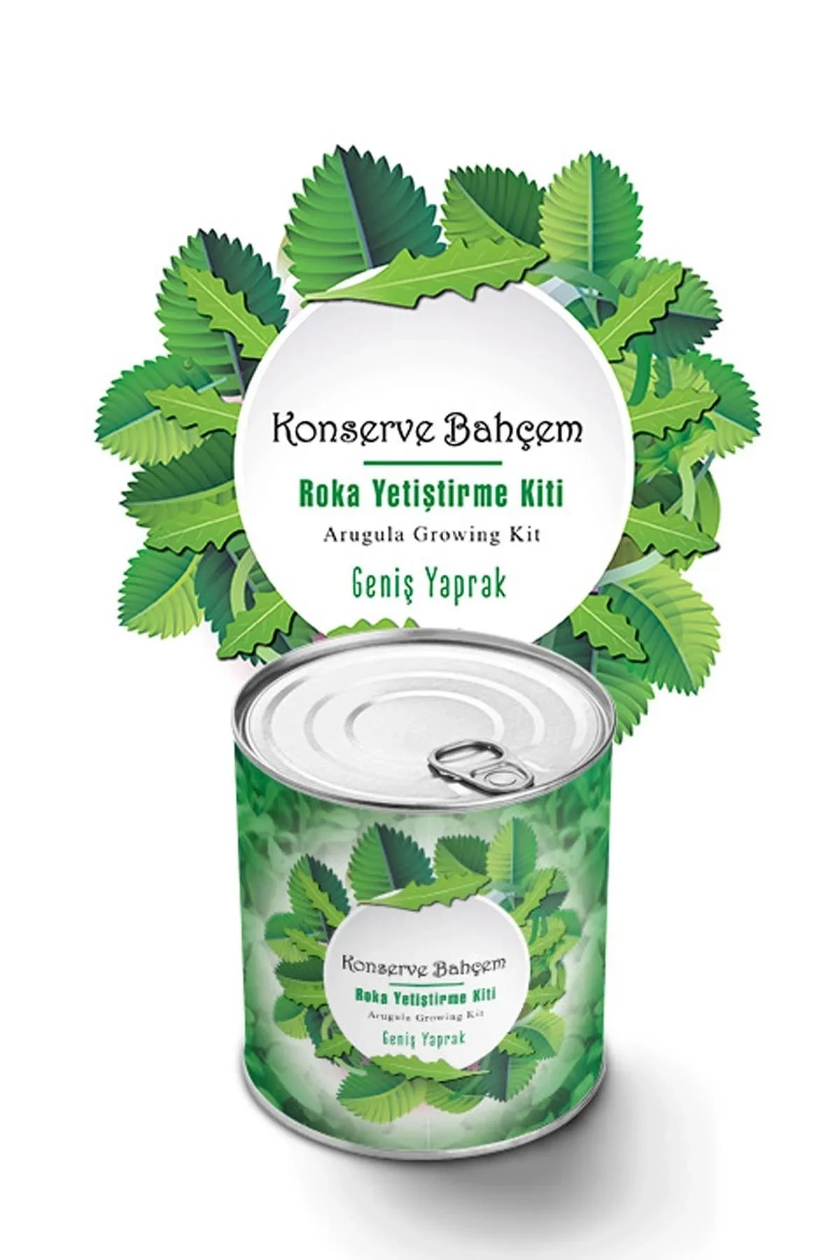 Konserve Bahçem Evde Konservede İri Yapraklı Roka Yetiştirme Kiti görsel 2
