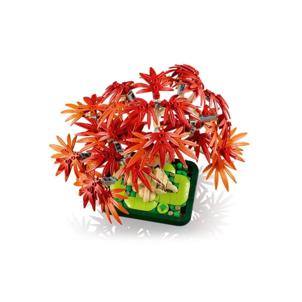 10348 iconic Japon Akçaağaç Bonsai Ağacı 474 parça +18 yaş görsel 4