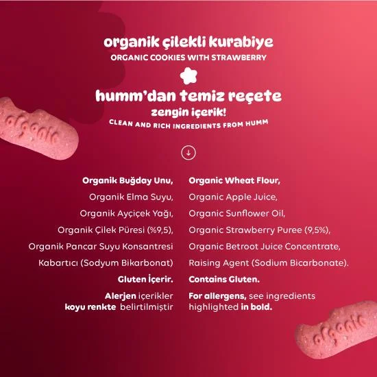 Organik Vegan Çilekli Kurabiye 55 Gr görsel 4