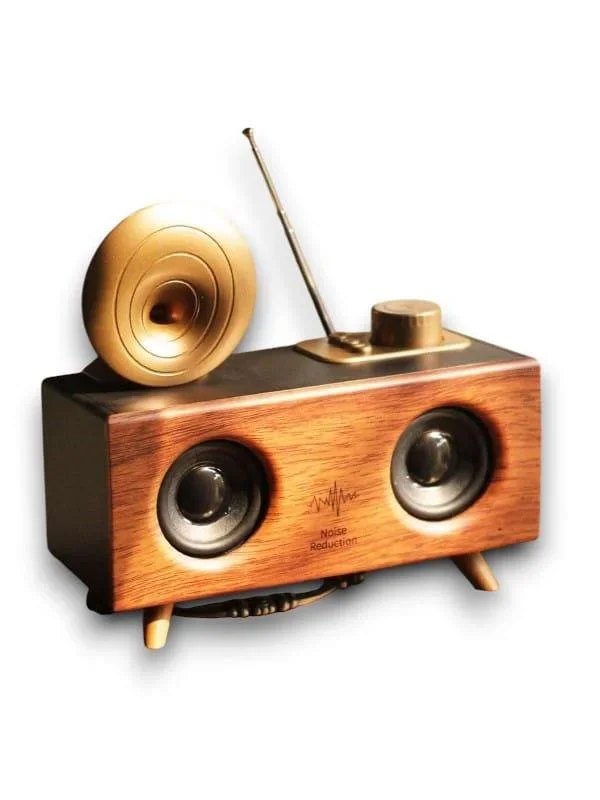 B6 Speaker Hoparlör görsel 2