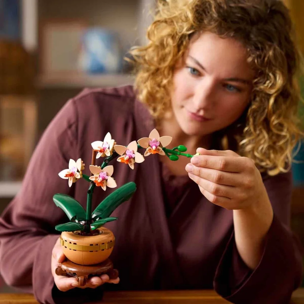 Botanicals Mini Orkide 10343 görsel 4