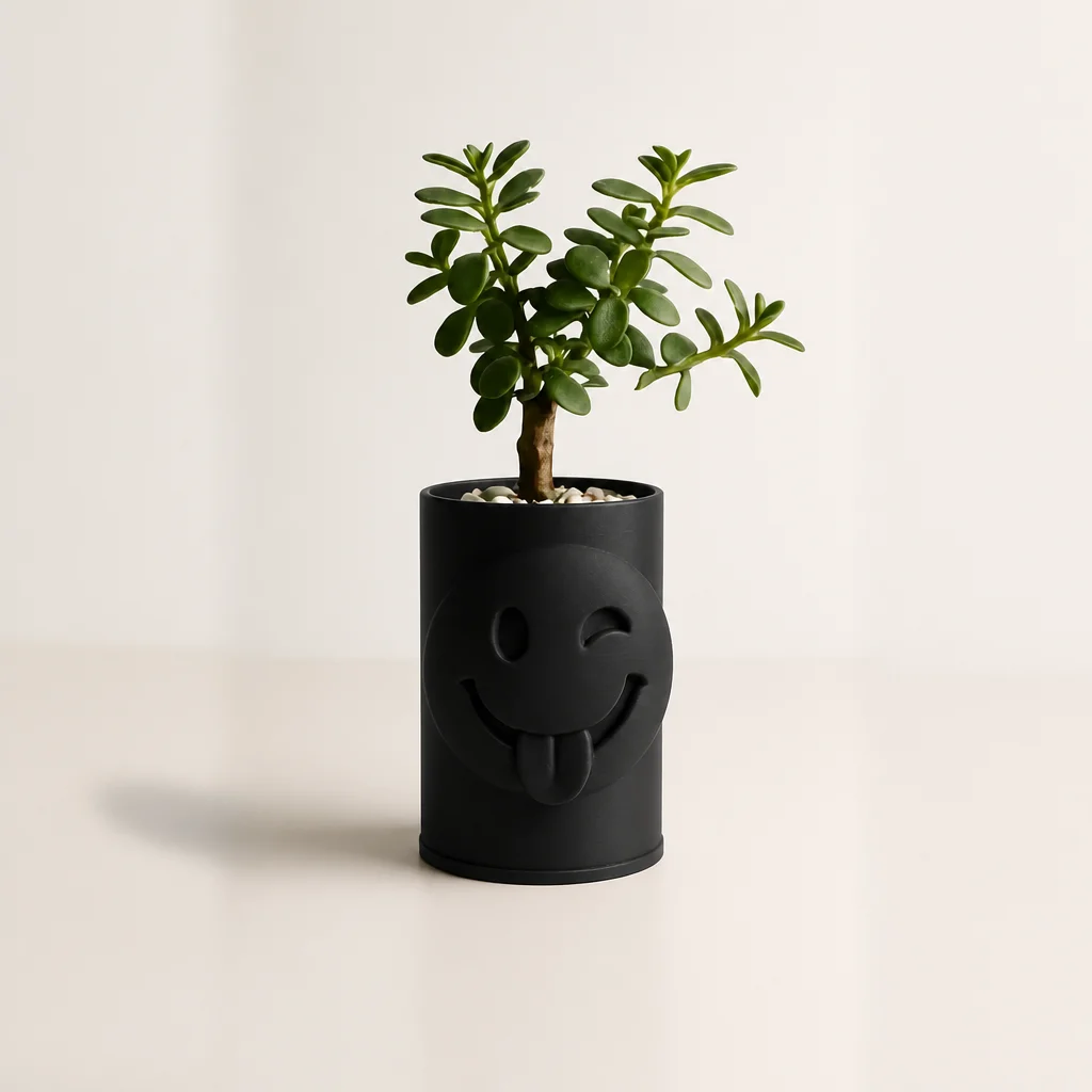 3D Baskı Emoji Planter - Göz Kırpan Yüzlü Sukulent Saksısı-Siyah