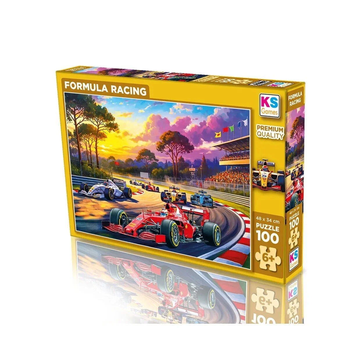 31505 Formula Racıng 100 Parça Puzzle