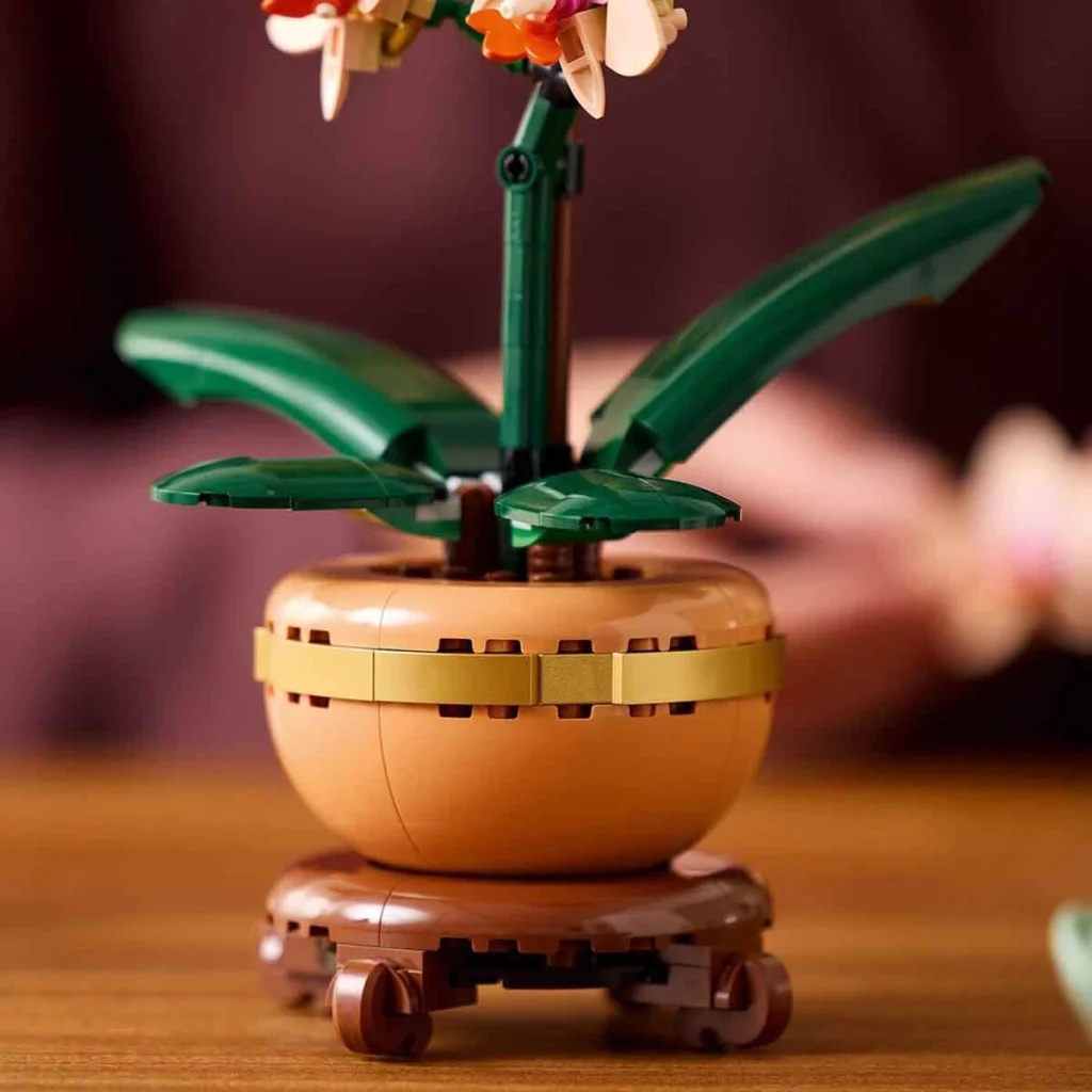 Botanicals Mini Orkide 10343 görsel 2