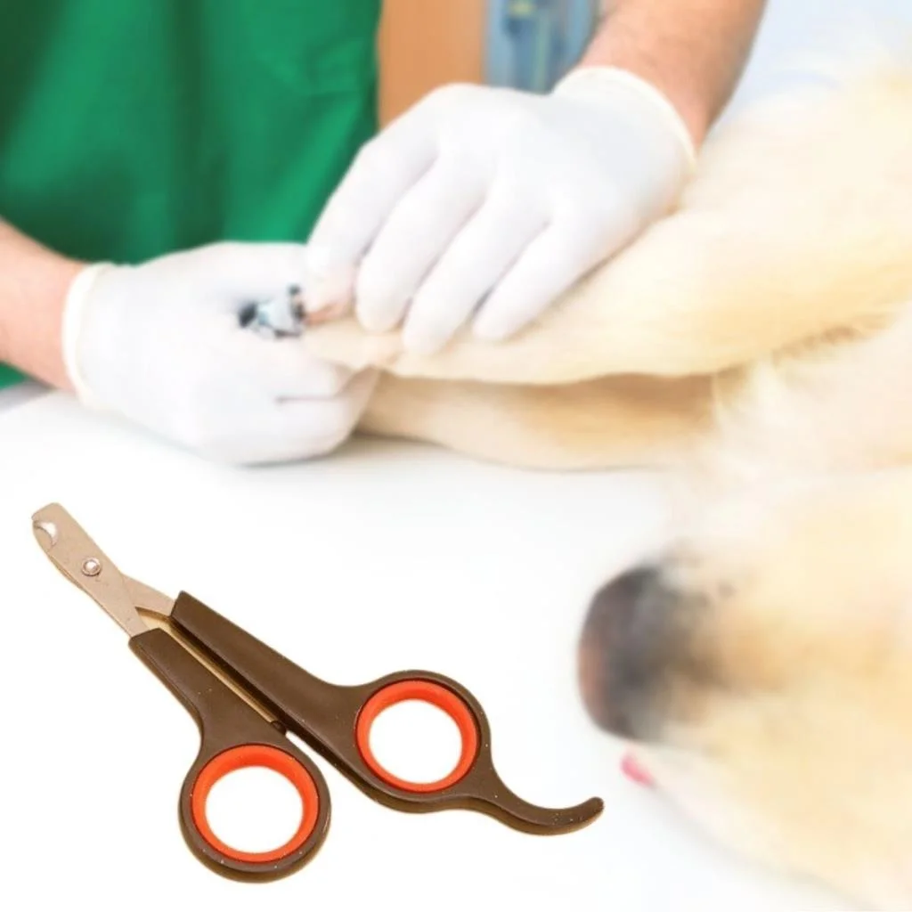 Küçük Çelik Uçlu Kedi Köpek Evcil Hayvan Tırnak Makası Pati Bakım Aleti Ergonomik Kaymaz Sap (adet fiyatıdır) görsel 4