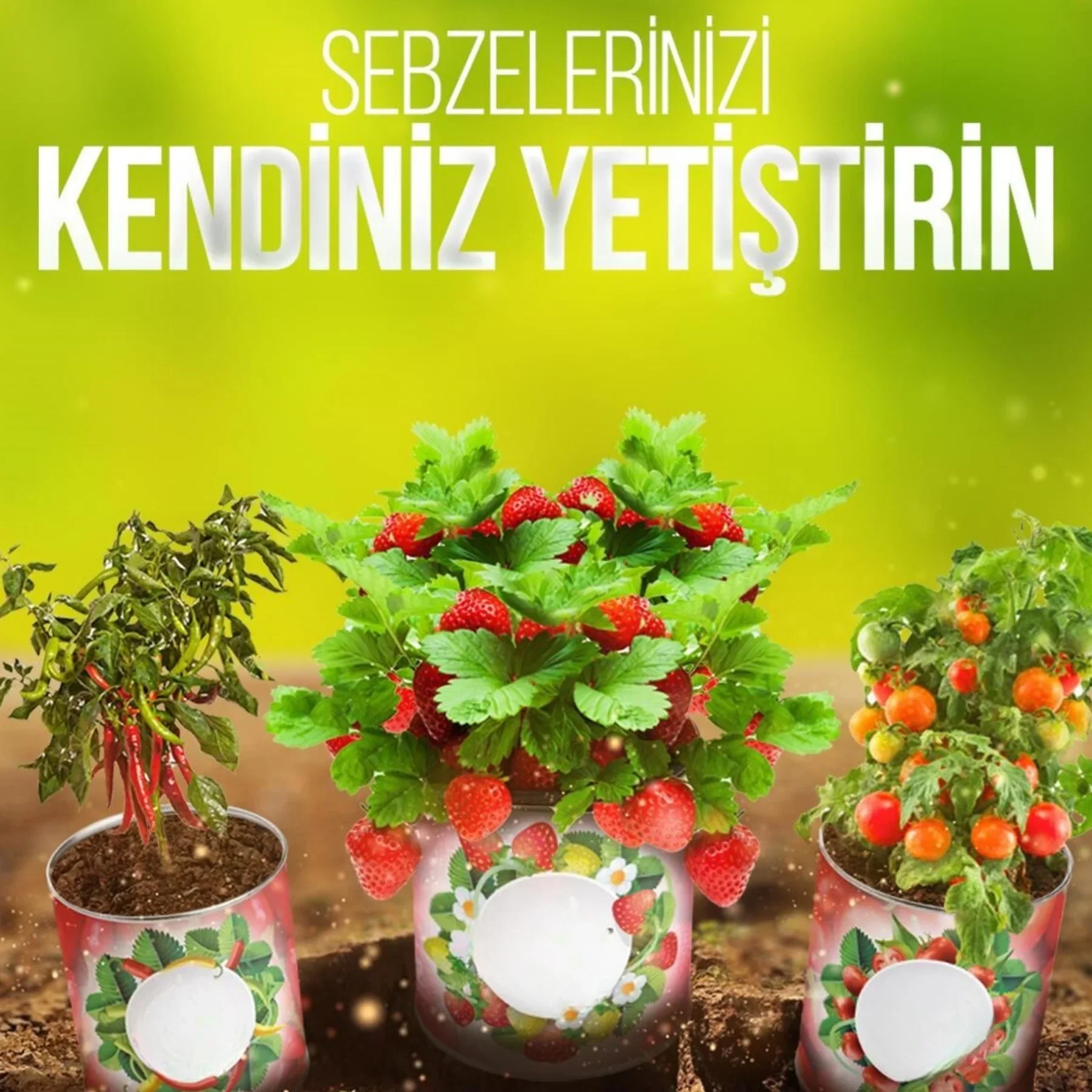 Konserve Bahçem Evde Konservede Fındık Turp Yetiştirme Kiti görsel 5