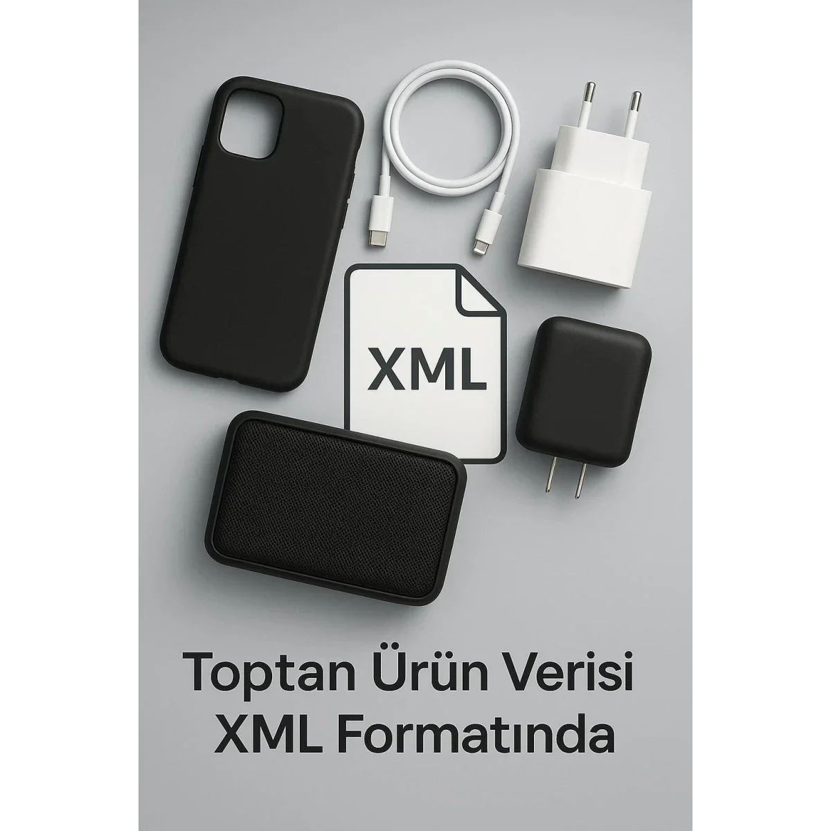 Online Çıktı Hizmeti/xml 1 Yıllık görsel 2