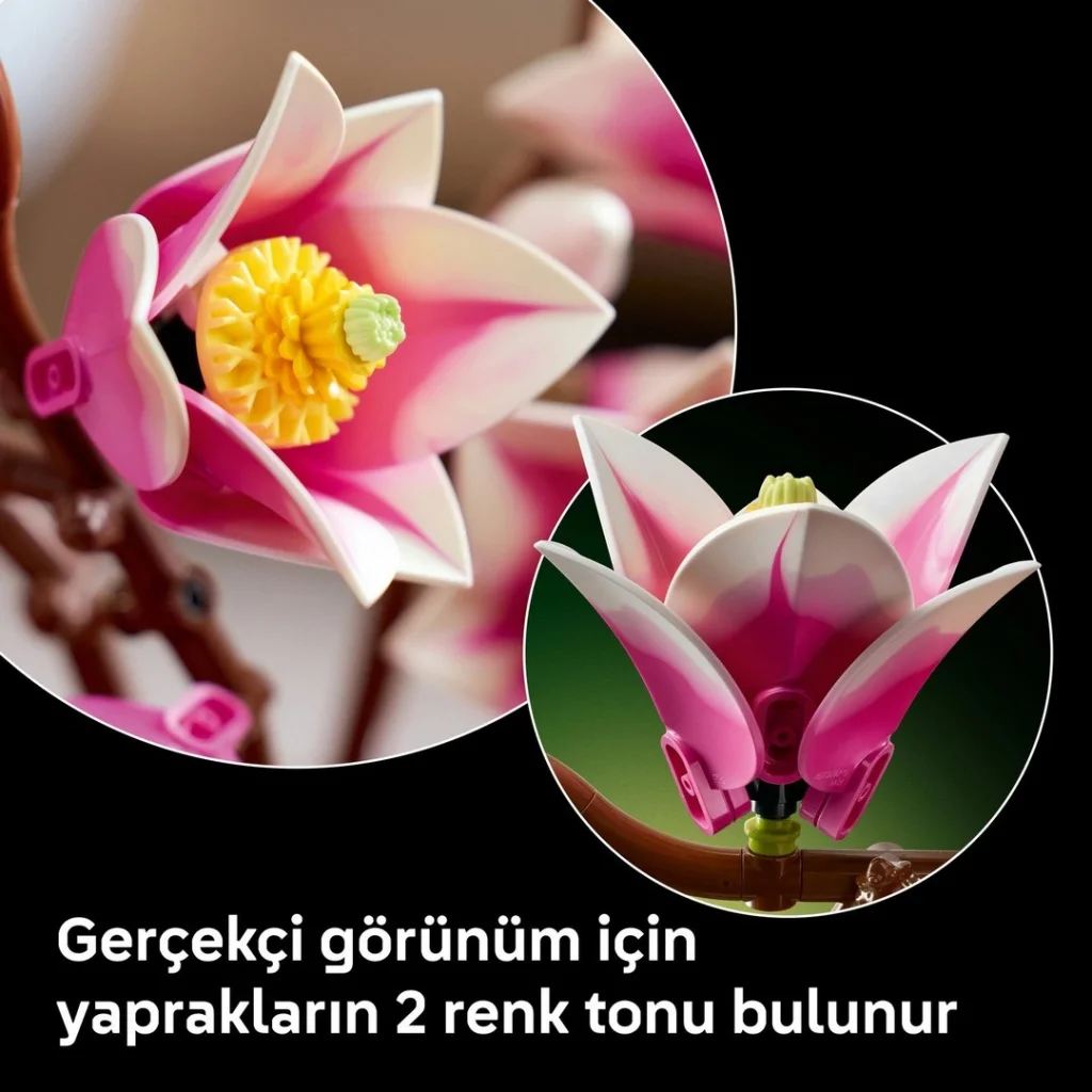 Botanicals Manolya Dalları 11510 görsel 2
