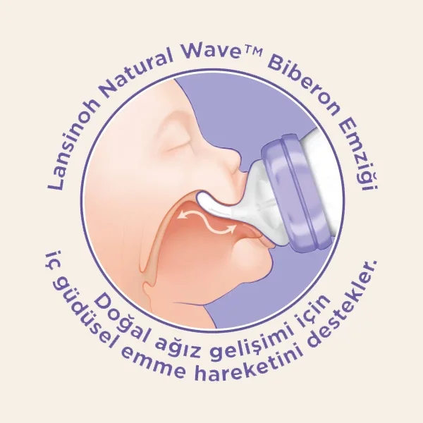Biberon 2'Li Natural Wawa Biberon Emziği 240 ml görsel 5