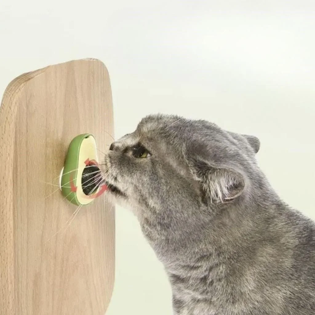 Avokado Model Yapışkanlı Kedi Oyuncağı Yenilebilir Kedi Nanesi Otu (adet fiyatıdır) görsel 3