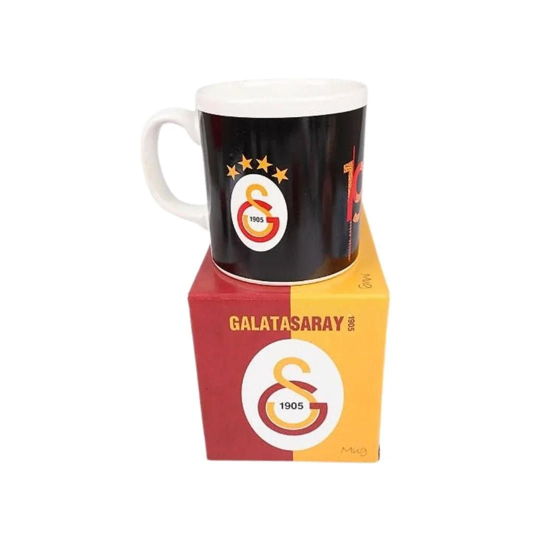 Taraftar Kupa Galatasaray görsel 2
