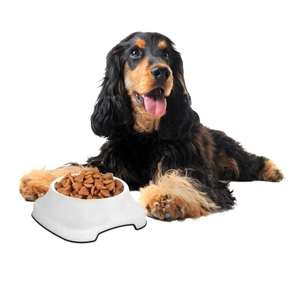 Silikon Kaydırmaz Taban Plastik Kedi ve Köpek Mama ve Su Kabı 2 L görsel 2