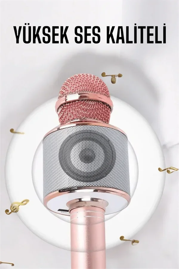 Taşınabilir Bluetooth Karaoke krofon: Hafıza Kart Girişli, Etkileyici Performans görsel 4