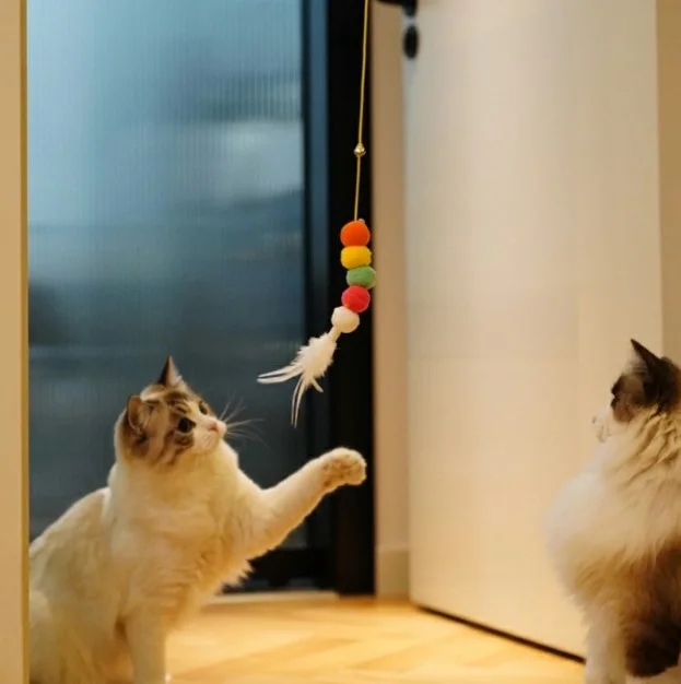 Elastik Kendinden Yapışkanlı Solucan Kedi Oltası görsel 5