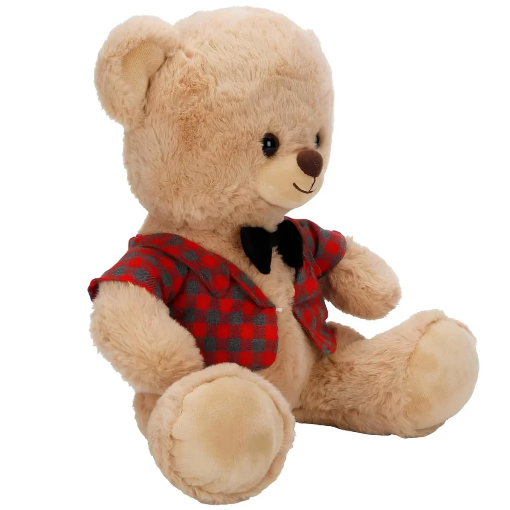 Kıyafetli Peluş Ayı 32 cm görsel 4