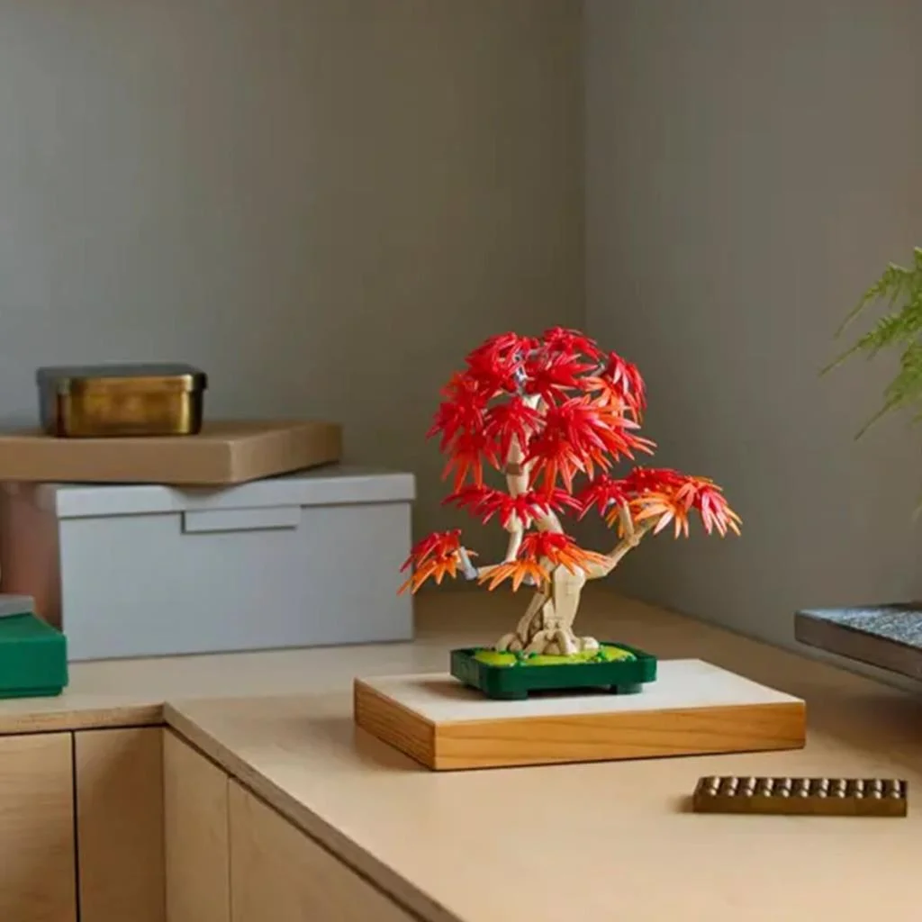 10348 iconic Japon Akçaağaç Bonsai Ağacı 474 parça +18 yaş görsel 5