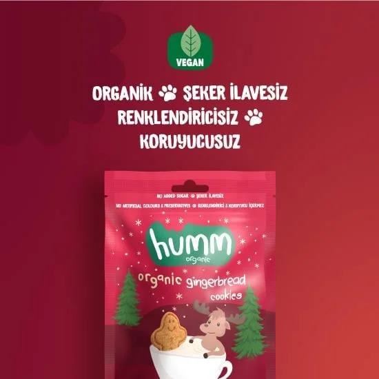 Organik Zencefilli ve Tarçınlı Vegan Kurabiye 55 Gr görsel 2