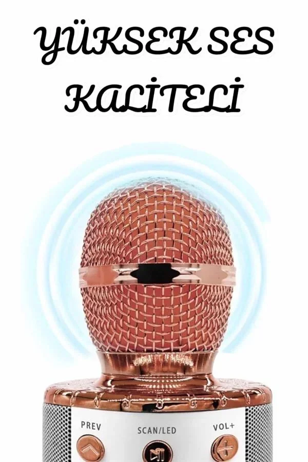 Şarjlı ve Uzun Pil Ömürlü Karaoke krofon USB Bellek Destekli, Profesyonel Ses görsel 3