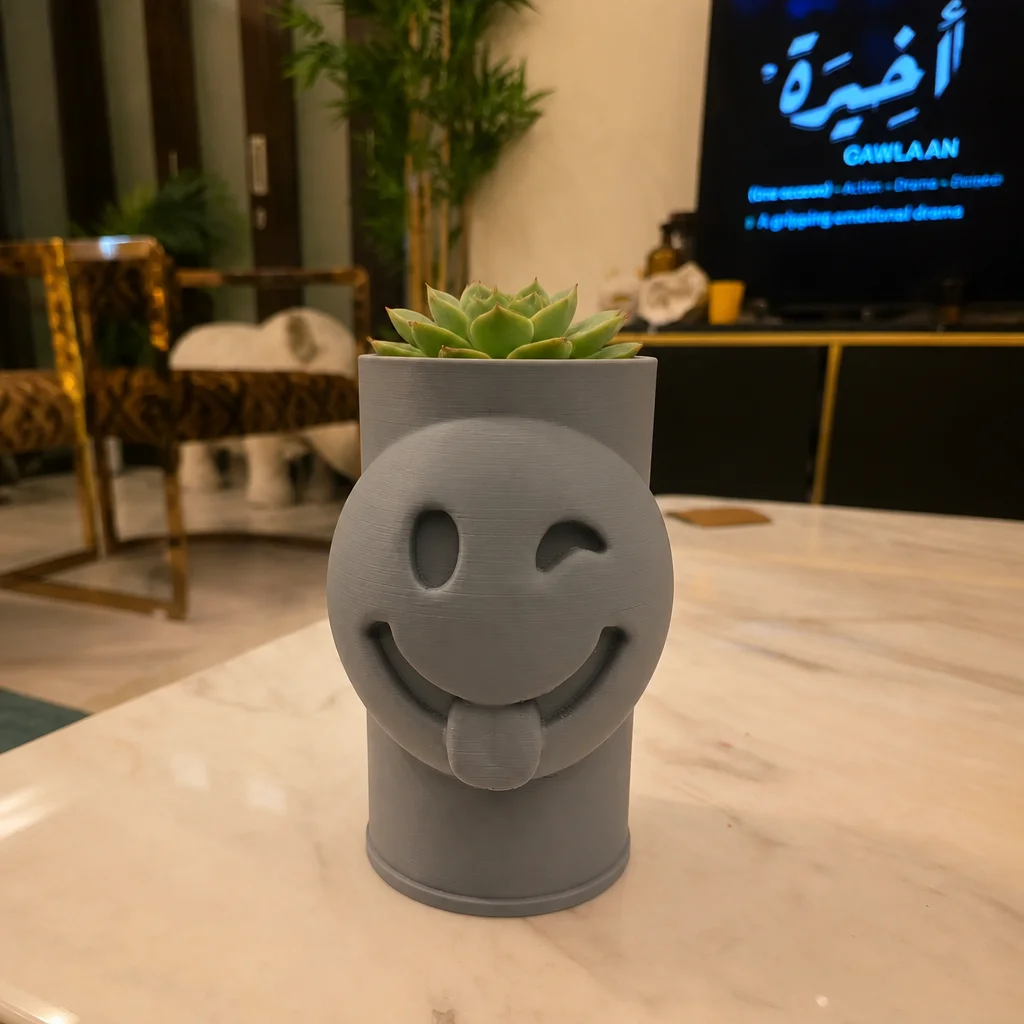 3D Baskı Emoji Planter - Göz Kırpan Yüzlü Sukulent Saksısı-Gri görsel 2