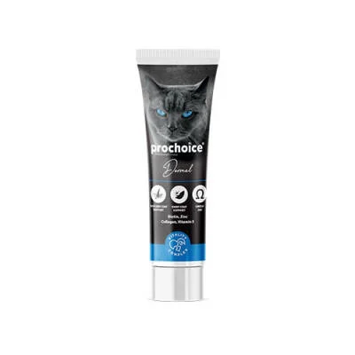 Dermal Deri ve Tüy Sağlığı İçin Biotinli Kedi Pastesi 100 Ml