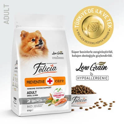 HypoAllergenic Small Mini Somonlu Küçük Irk Düşük Tahıllı Yetişkin Köpek Maması 6 Kg