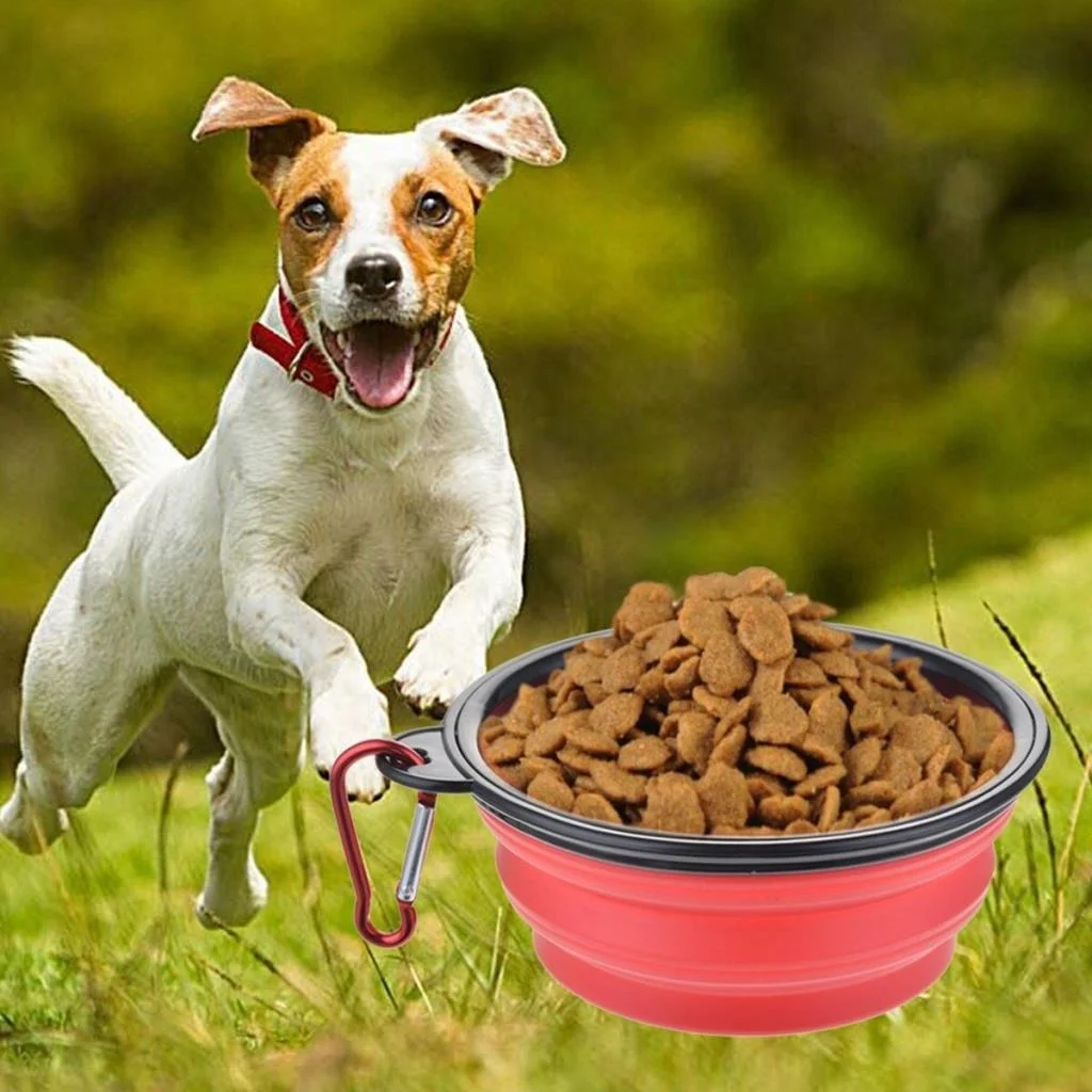 Katlanabilir Kedi Köpek Mama ve Su Kabı Köpek Oyuncağı görsel 2
