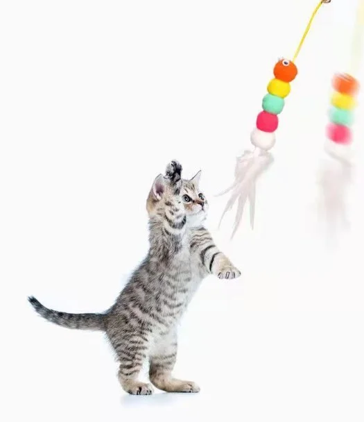 Elastik Kendinden Yapışkanlı Solucan Kedi Oltası görsel 4