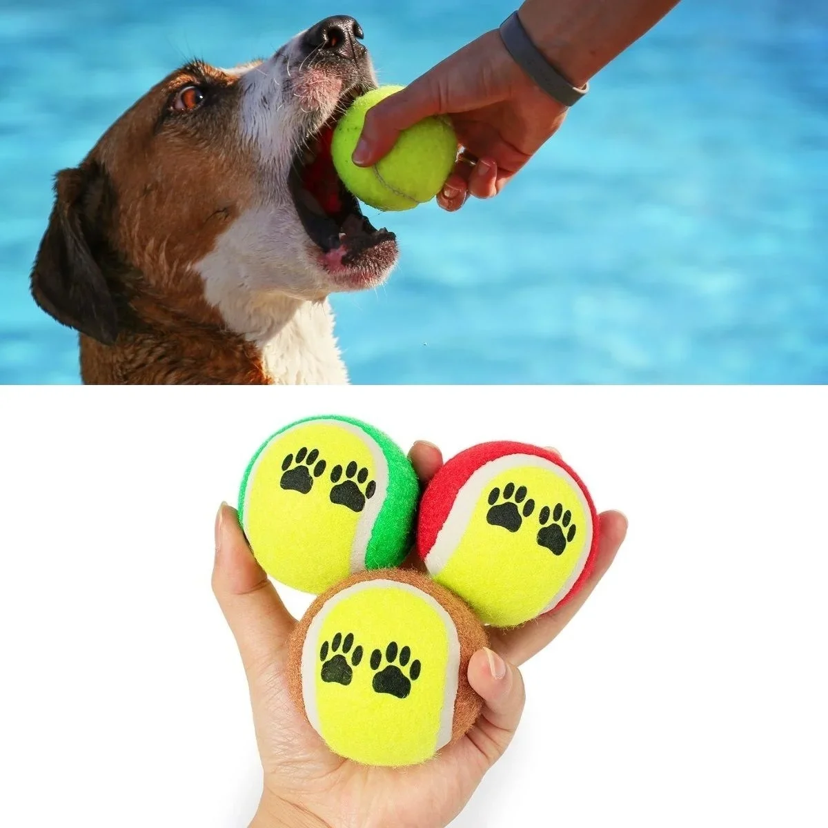 3lü Renkli Desenli Tenis Topu Kedi Köpek Oyuncağı görsel 6