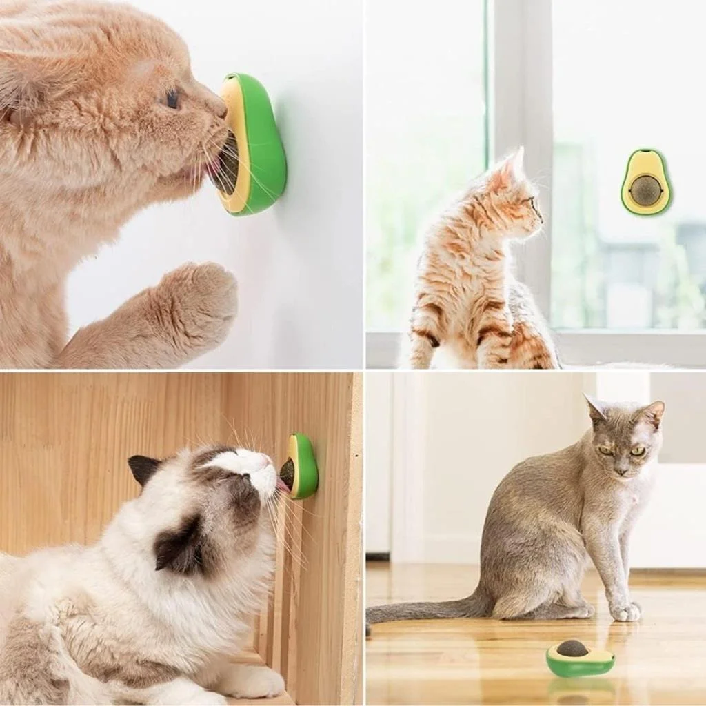 Avokado Model Yapışkanlı Kedi Oyuncağı Yenilebilir Kedi Nanesi Otu (adet fiyatıdır) görsel 4