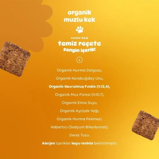 Organik Glutensiz Vegan Muzlu Kek 30 Gr görsel 4