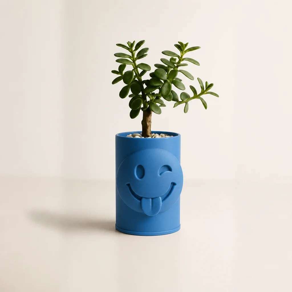 3D Baskı Emoji Planter - Göz Kırpan Yüzlü Sukulent Saksısı-Mavi
