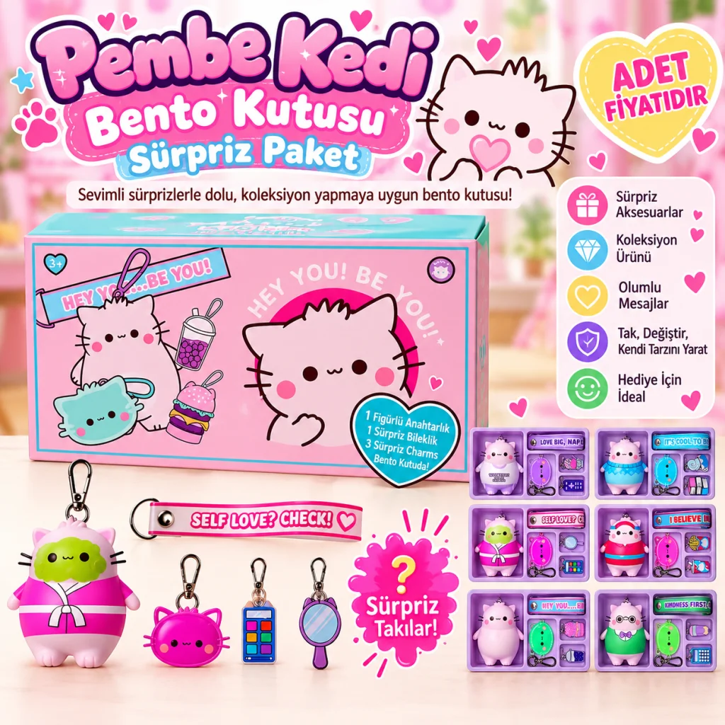 Pembe Kedi Bento Kutusu Sürpriz Paket (adet fiyatıdır)