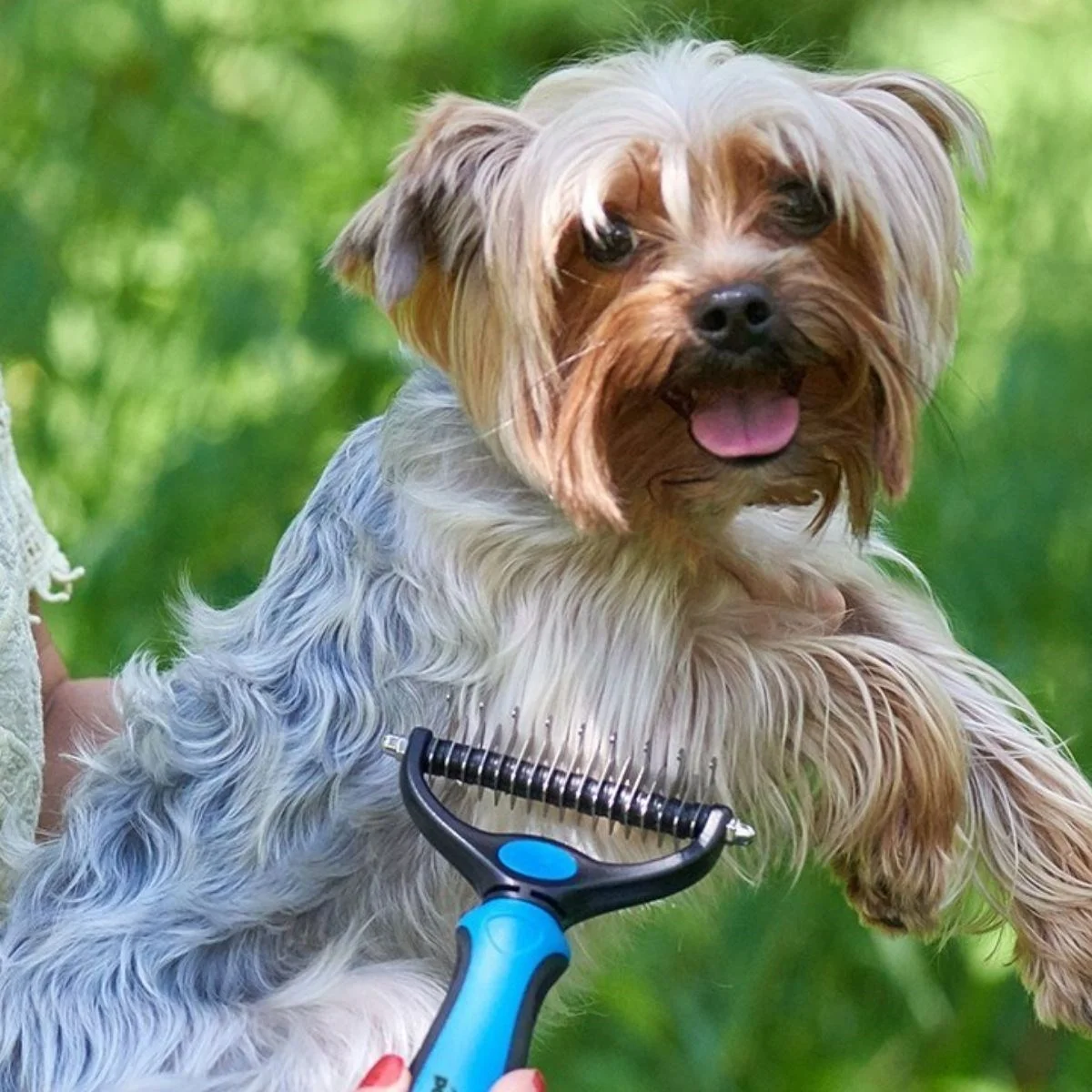 Plastik Saplı Metal Kedi Köpek Bakım Kıtık Tüy Topak Açıcı Tarak görsel 5