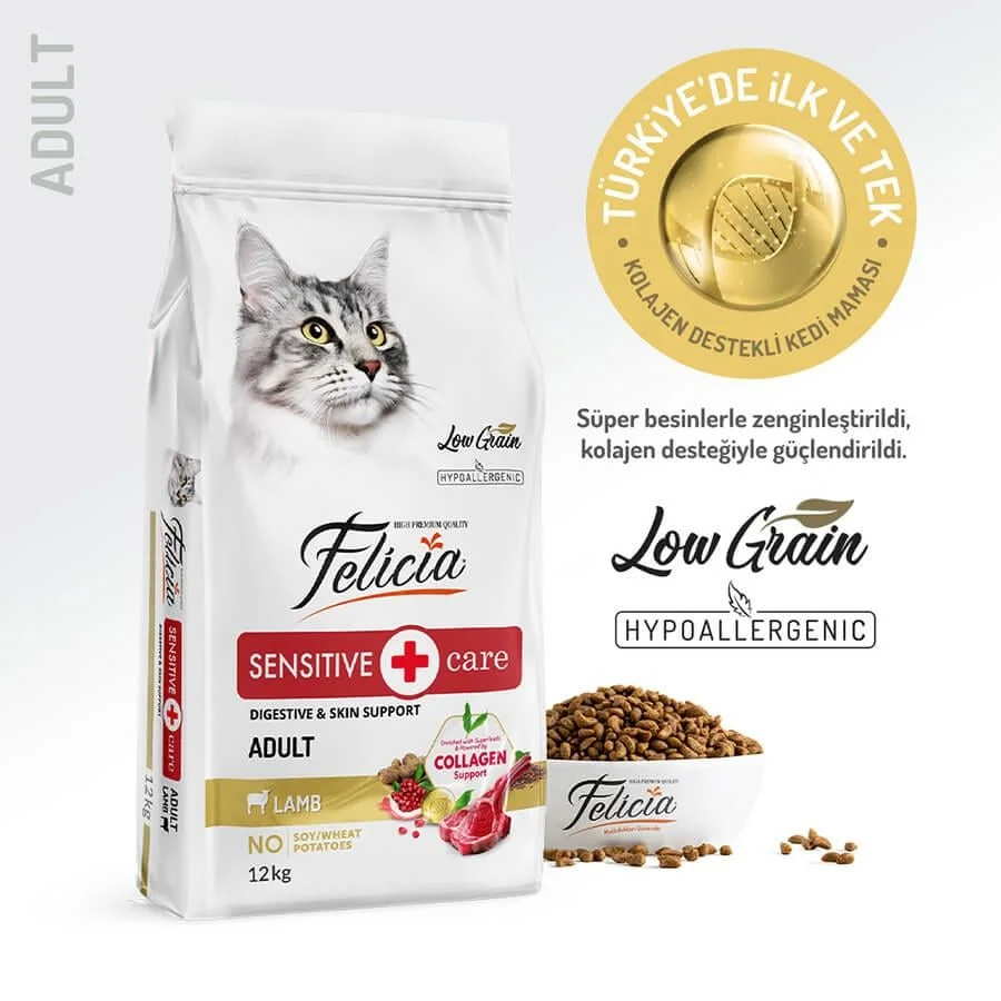 Kuzulu az tahıllı yetişkin kedi maması 12 kg felicia