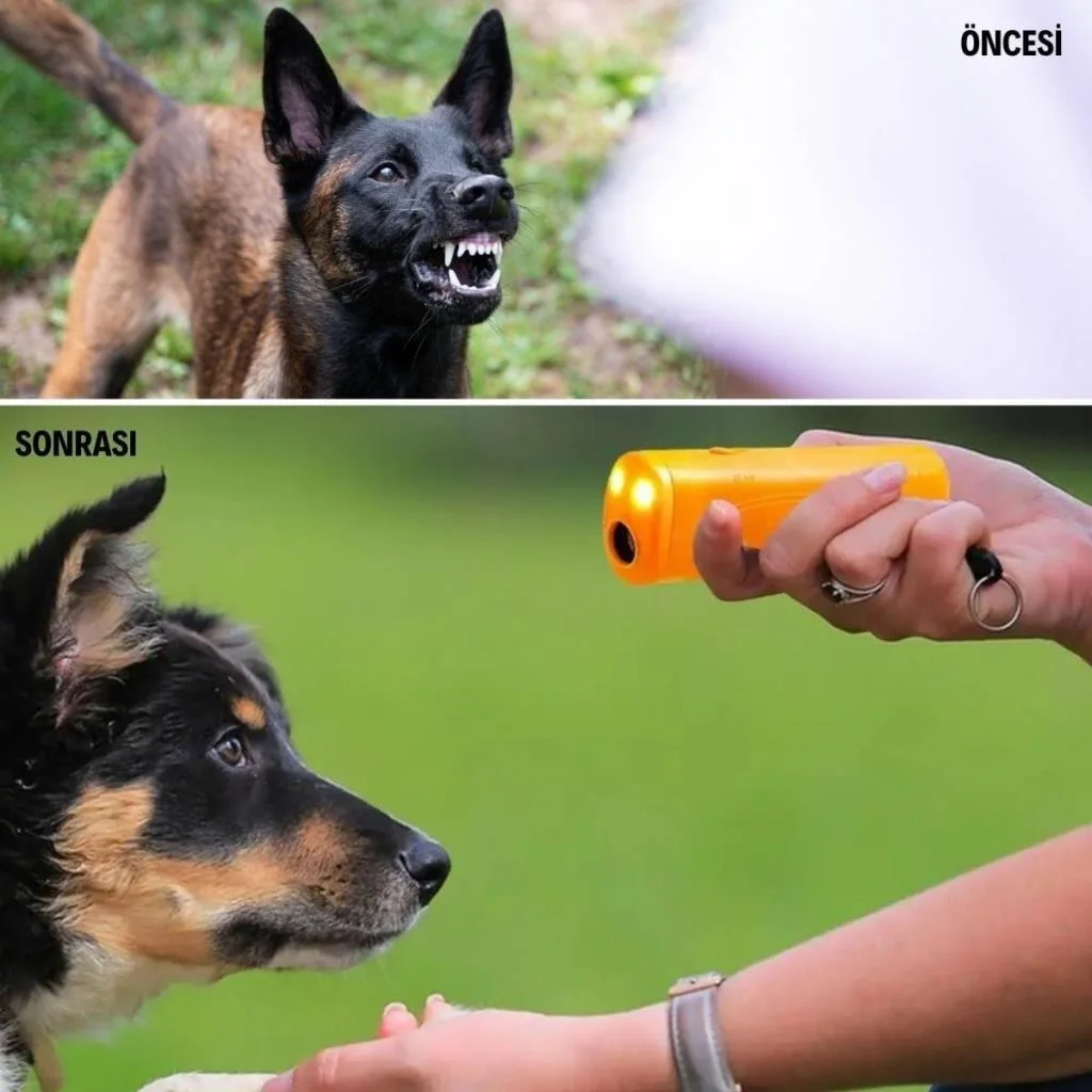 Ultrasonik Köpeksavar Köpek Kovucu Köpek Kornası Eğitim Cihazı görsel 4