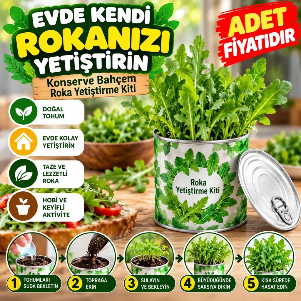 Evde Konservede İri Yapraklı Roka Yetiştirme Kiti (adet fiyatıdır)