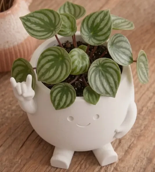 3D Baskı Smiley Face Planter - Gülümseyen Karakterli Saksı-Beyaz görsel 3