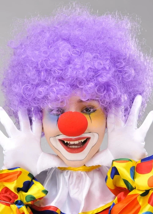 Mor Renk Kıvırcık Afro Bonus Peruk Takma Saç Ve Kırmızı Burun Seti görsel 2