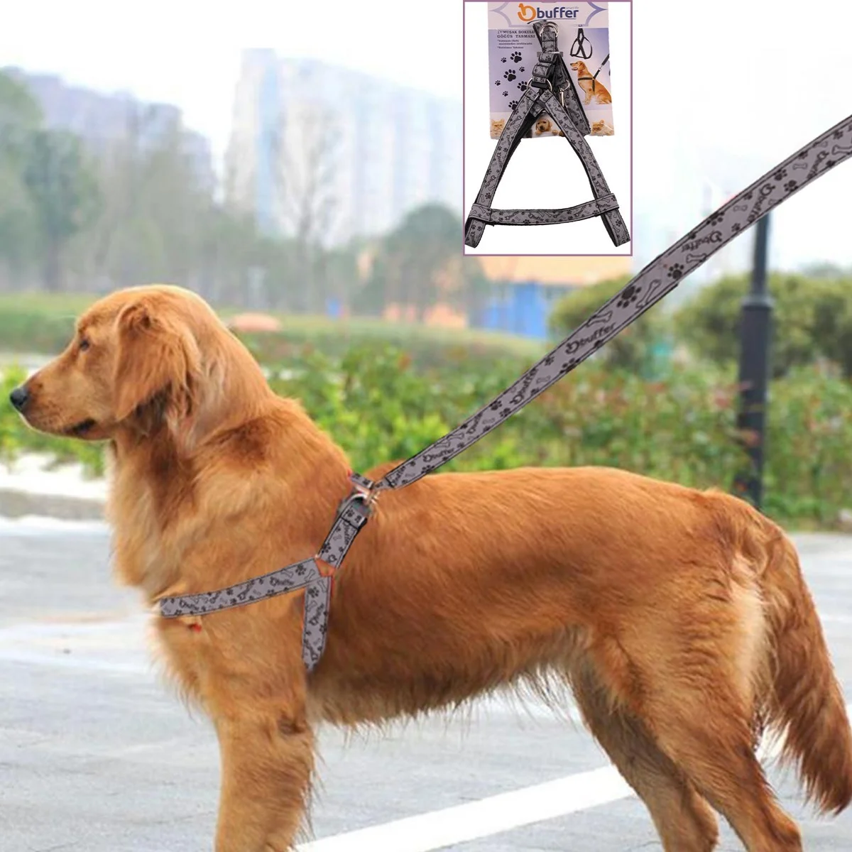 Ergonok Yumuşak Dokulu Terletmez Köpek Göğüs Tasması Medium