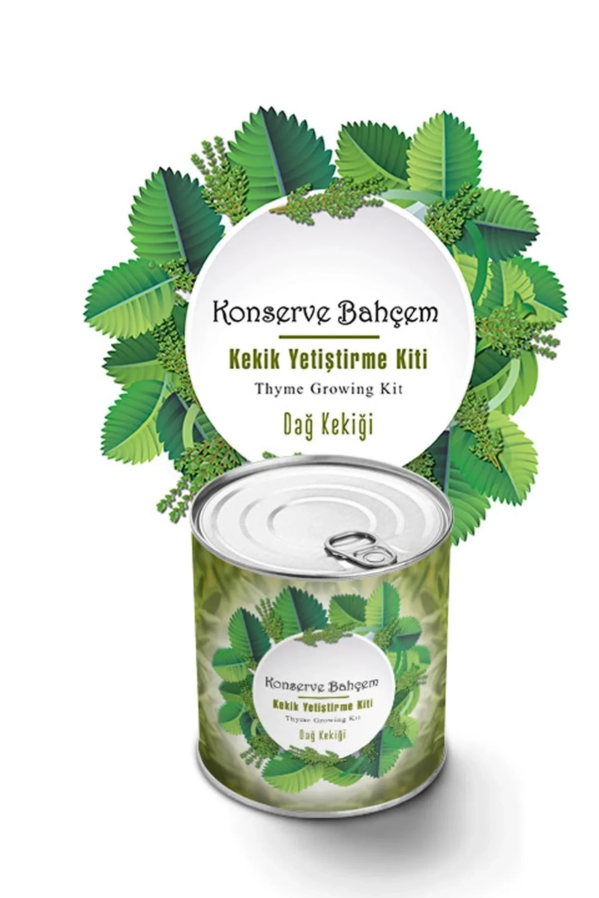 Konserve Bahçem Evde Konservede Kekik Dağ Kekiği Yetiştirme Kiti görsel 2