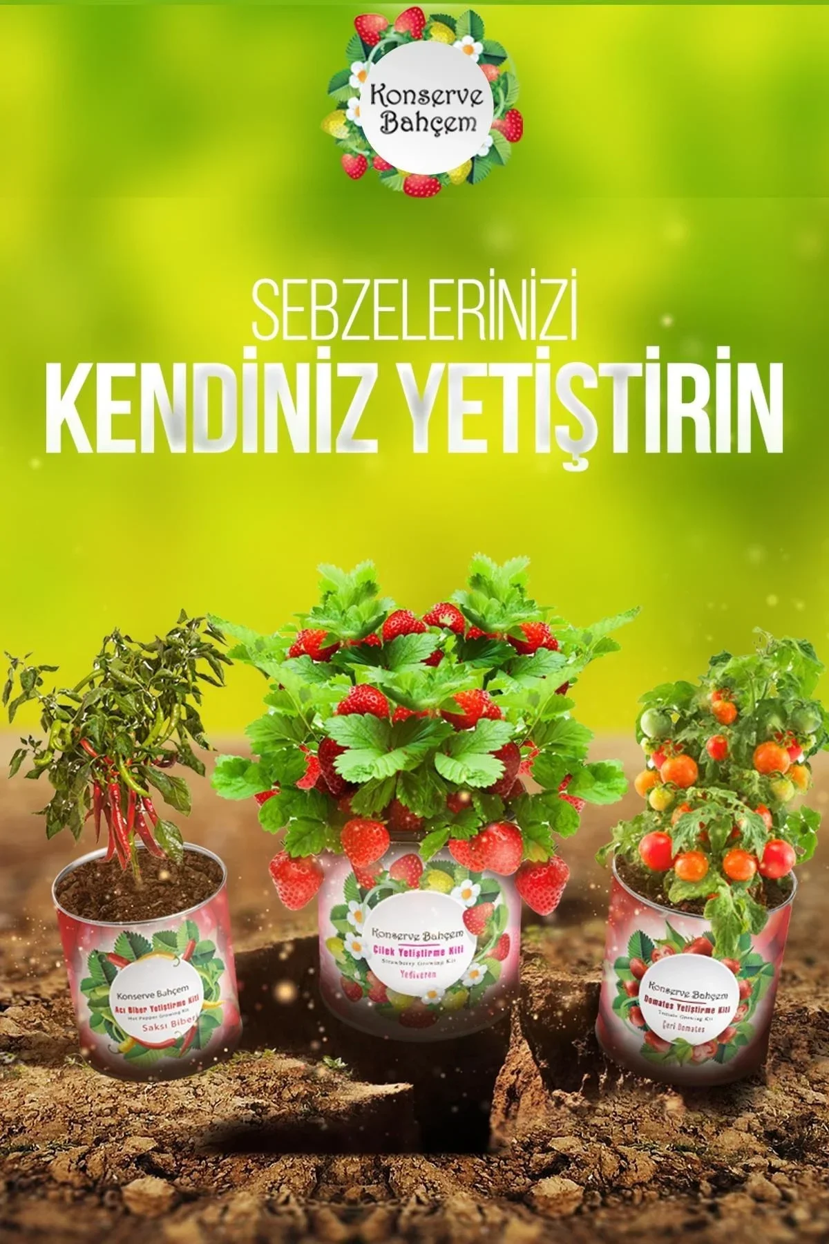 Konserve Bahçem Evde Konservede İri Yapraklı Roka Yetiştirme Kiti görsel 3