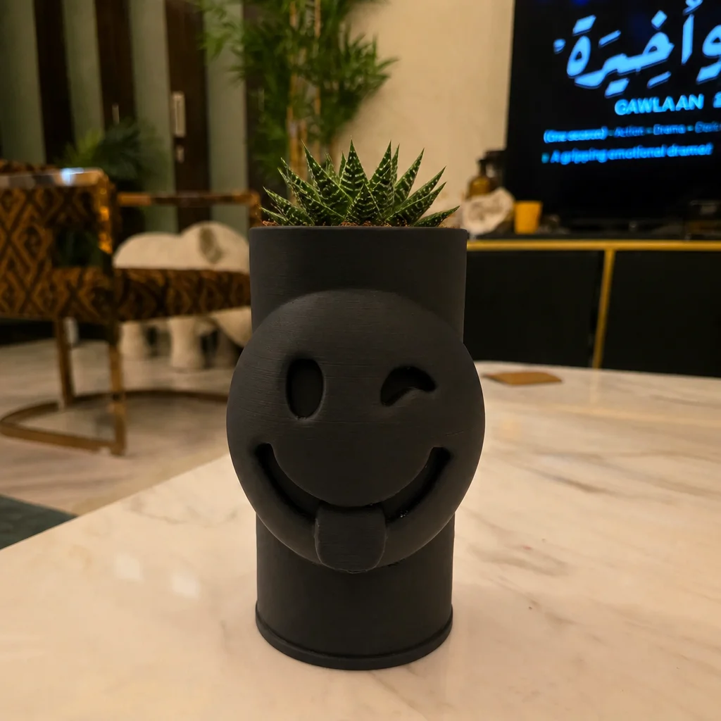 3D Baskı Emoji Planter - Göz Kırpan Yüzlü Sukulent Saksısı-Siyah görsel 2